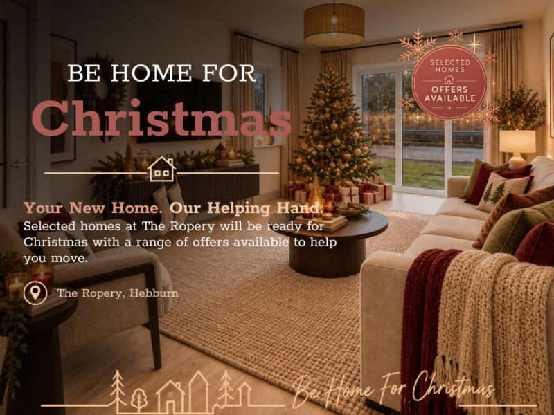 Christmas campaign website graphic 1 (2)