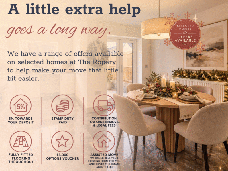 Christmas campaign website graphic 2 (1)