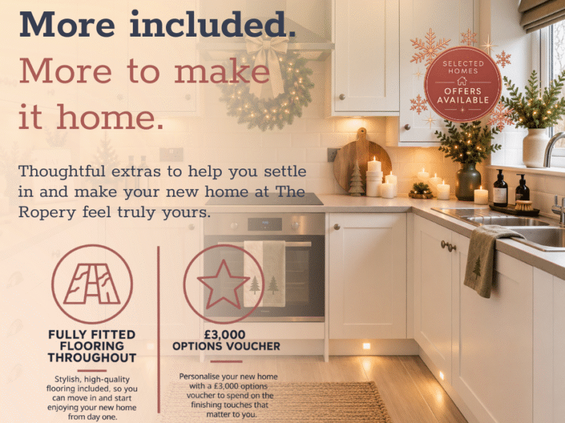 Christmas campaign website graphic 3 (1)