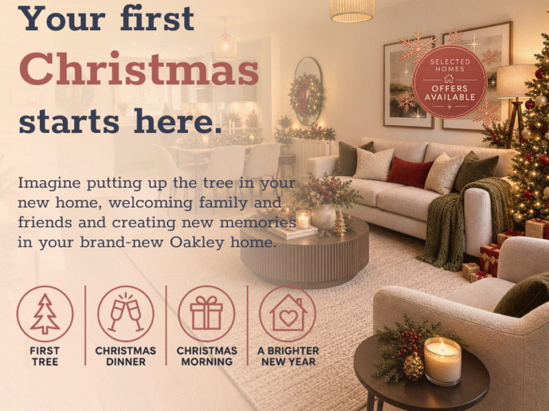 Christmas campaign website graphic 4 (1)