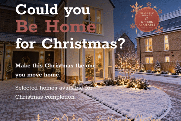 Christmas campaign website graphic 5 (2) Christmas campaign website graphic 5 (2)