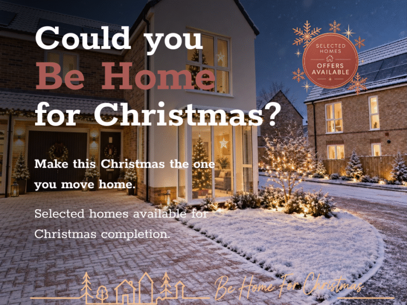 Christmas campaign website graphic 5 (2)