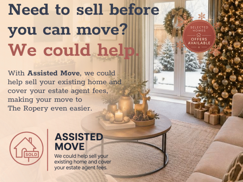 Christmas campaign website graphic AM (1)